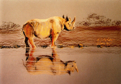Bild Spitzmaulnashorn in der Dämmerung von Uli Aschenborn